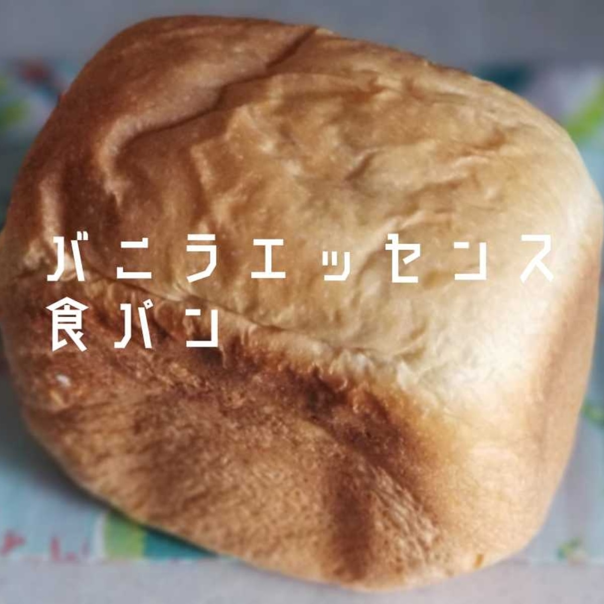 簡単 乾パンでパンプディング 節約 消費レシピ パパでも簡単な楽しい料理